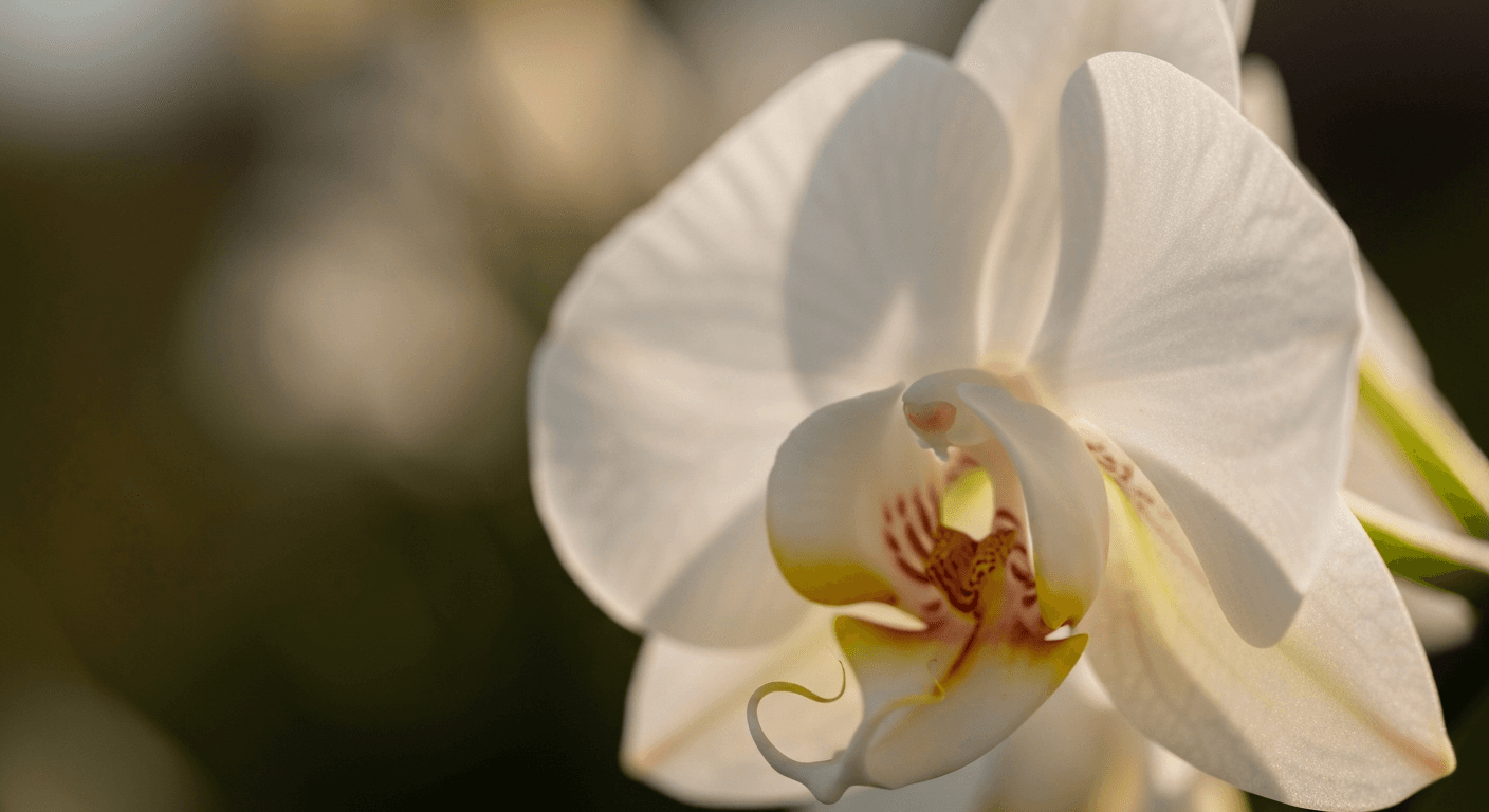 Build YouTube Apps with Claude Code and High-Reasoning AI